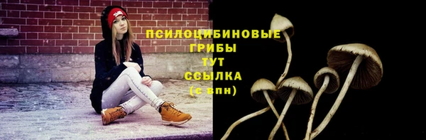 apvp Алексин