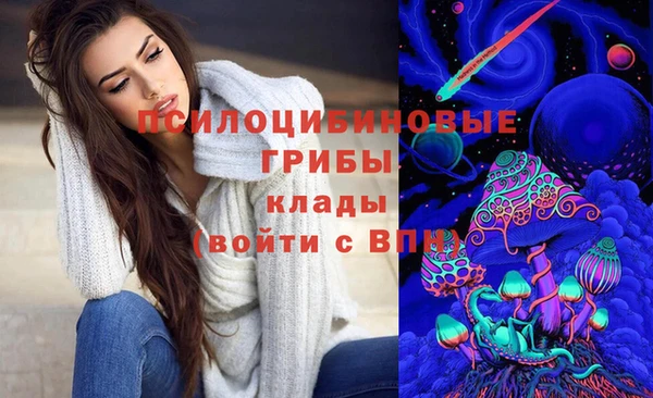 apvp Алексин
