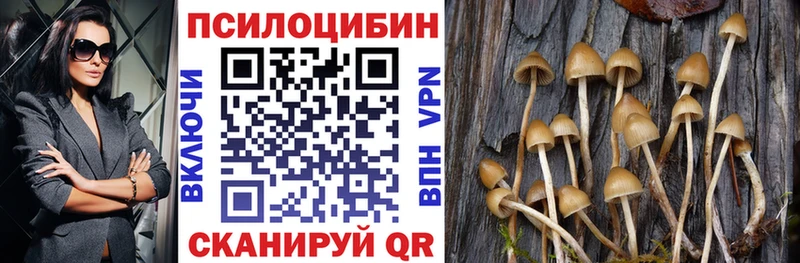 Галлюциногенные грибы мицелий  закладка  Харабали 